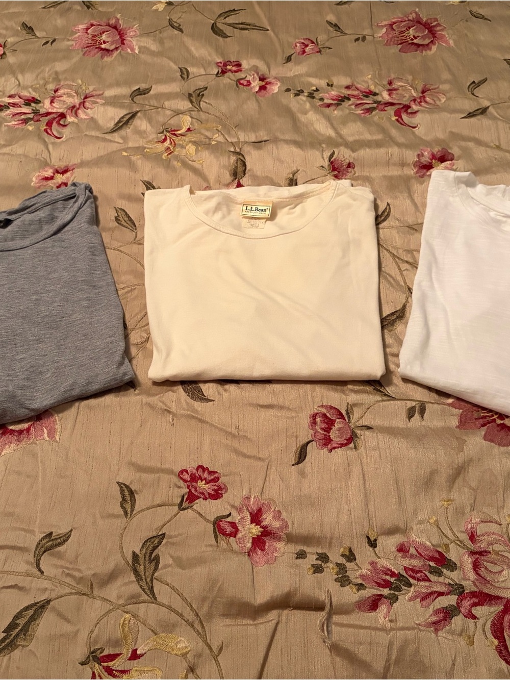 Summer Sale! Women’s Short Sleeve Tees-2 Banana Republic and an LLBean